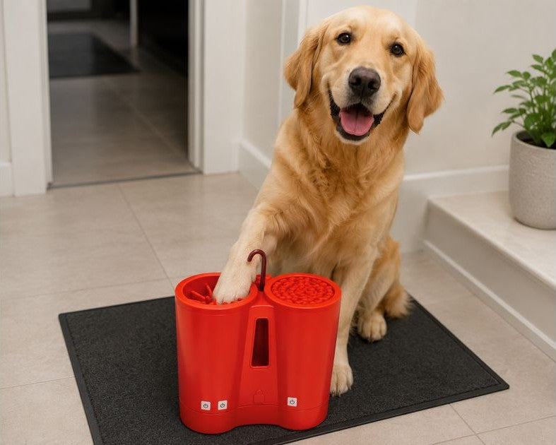 Dog getting paws cleaned with PETIX at the door